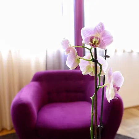 Brandmayerhof 3*